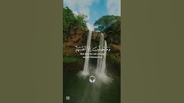 القارئ فارس عباد ❤️ #القران #قرآن #duet #يارب #اكسبلور #راحة_نفسية 🤲🤲🌹♥️❤️🌄