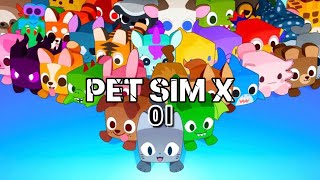 Ich spiele das erste mal pet Simulator x in Roblox #01