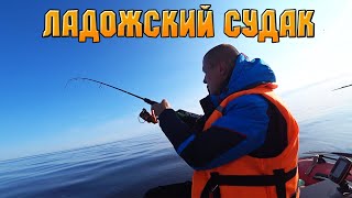 видео: РЫБАЛКА НА ОТВОДНОЙ ПОВОДОК НА ЛАДОЖСКОМ ОЗЕРЕ НА СУДАКА 2023 В УСТЬЕ ВОЛХОВА. УЧИМСЯ ЛОВИТЬ СУДАКА! картинка: РЫБАЛКА НА ОТВОДНОЙ ПОВОДОК НА ЛАДОЖСКОМ ОЗЕРЕ НА СУДАКА 2023 В УСТЬЕ ВОЛХОВА. УЧИМСЯ ЛОВИТЬ СУДАКА!