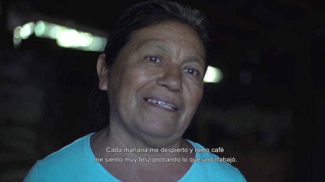 Cooperativa Socorro | Café orgánico | hablado en Mixteco camera iphone 8 plus apk
