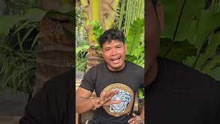 មានការងឿងឆ្ងល់ជាខ្លាំង សូមម្ចាស់បទយីកេបំពេស្នេហ៍ ធ្វើការបកស្រាយ