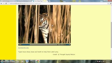 parent World Book tutorial