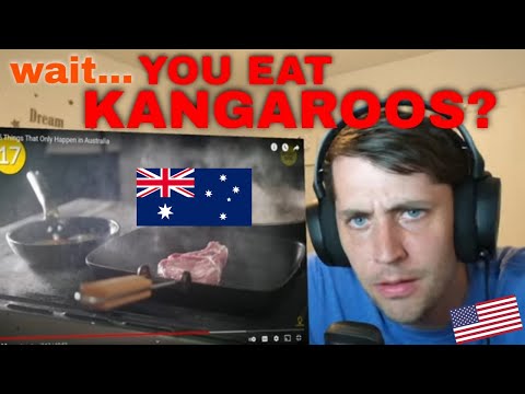 American Reacts to