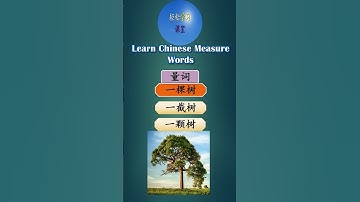 量词 Learn Chinese Measure Words, Quantifiers Classifiers How to use 棵 ke in Chinese #shorts