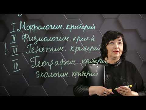 Вид, его критерии и структура. 9 класс.