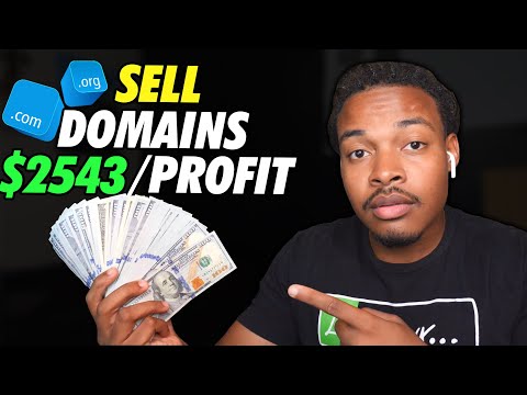 How to start a domain flipping business | $2543 Per Month