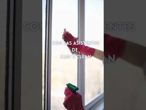 Asistentes de Limpieza