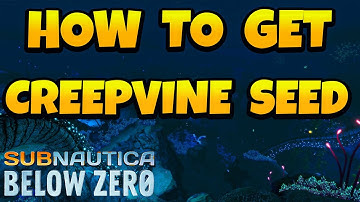How to Get Creepvine Seed Cluster in Subnautica Below Zero