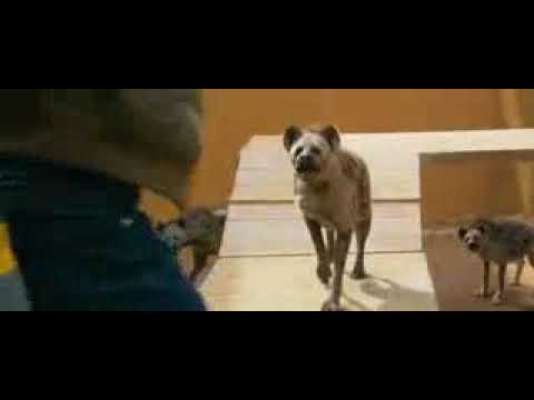 Filmii Waraabessa Fi Nama