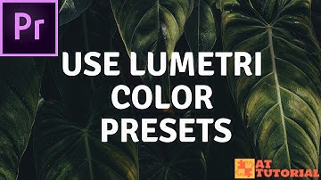 Adobe Premiere Pro CC tutorial - Use Lumetri Color Presets