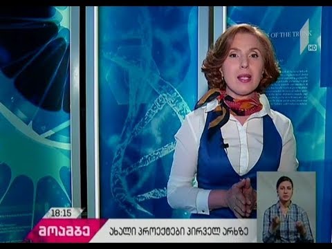 განახლებული „პირადი ექიმი“, „ფერმა“, „ჰოპლა! - ჩვენ ვცოცხლობთ“ და „ილუზიონი“ პირველ არხზე