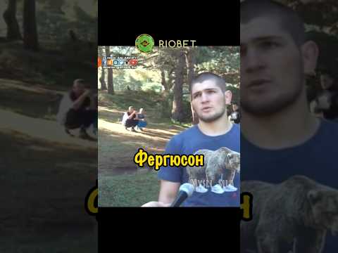 Хабиб - Архив Сборы 2014 года в Горах Ислам Махачев Абдулманап #юфс #бокс #самбо #мма #борьба #бой