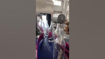 Empty glass bottle visual inspecting machine? this is how it works