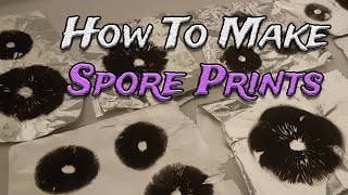 How To Create Mushroom Spore Prints