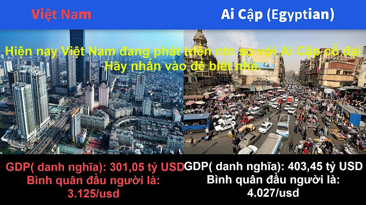 So sánh ai cập và việt nam năm 2024