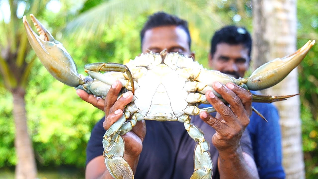 6000 രൂപയുടെ ഞണ്ടിനെ കറിവെച്ചു തിന്നാൻ തീരുമാനിച്ചു. .GiantMud Crab Cooking 