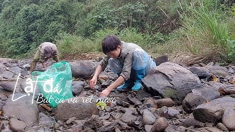 đắp suối bắt cá theo kiểu người vùng cao