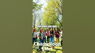 The Chameleon Effect: How Mimicry Shapes Our Interactions