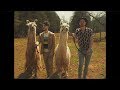 All The Feels - Fly By Midnight (Official Adventure Video)