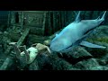 Assassin&#39;s Creed 4 Black Flag Underwater Treasure Hunt A Day in The Life Of Edward Kenway