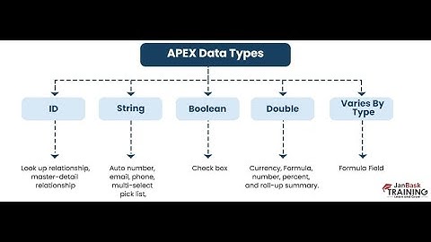 Session 15 Data Types in Apex in Salesforce | Salesforce Training Videos | Part -1