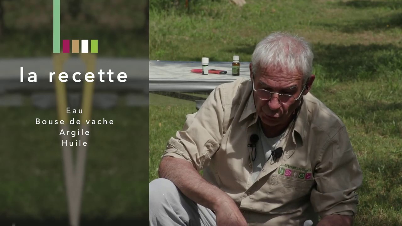 Comment préparer un antiparasite 100 % naturel : le badigeon pour soigner ses arbres fruitiers ?