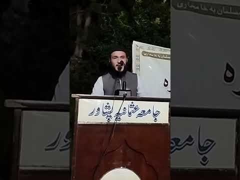 پشتو شعری پشتو شورٹ دہ مینی شاعری Pashtoshorts Virel Pashto Shorts Poetry Pashtopoetry Blackscreen