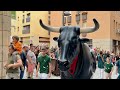 El bou de reus al 10 aniversari del correbous i dels bous a valls fira de santa rsula 2022