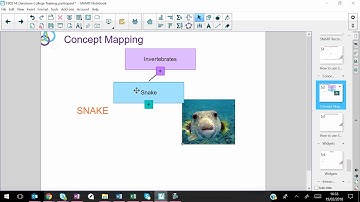 How to Create Concept Map SMART Notebook 17