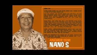 Nano S - Anémer Seni
