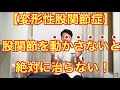【変形性股関節症】股関節を動かさないといけない理由と動かし方を徹底解説