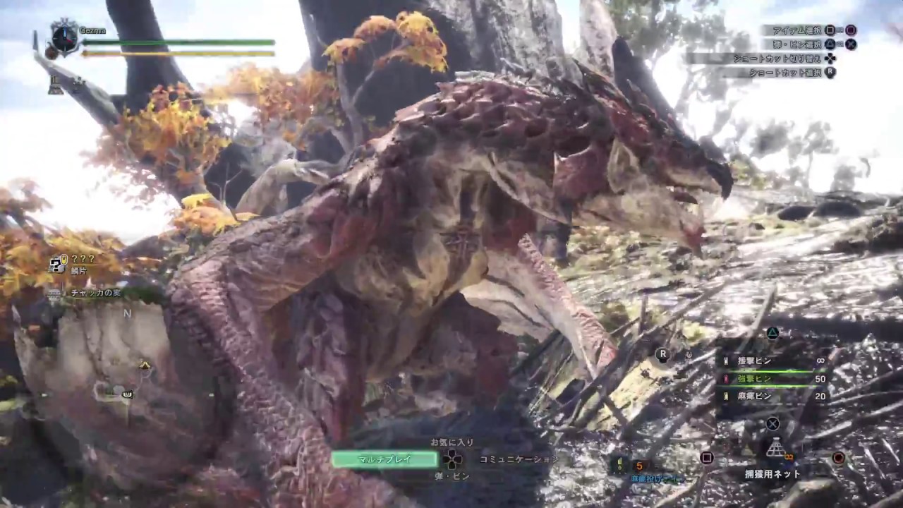 Mhwベータ リオレウス 弓 ソロ 5分針 閃光 罠無し モンハンワールド Youtube