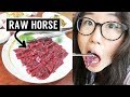 Trying raw horse meat in korea  sashimi vs grilled