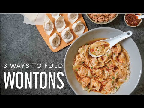 How To Fold Wontons (6 easy and fun ways)