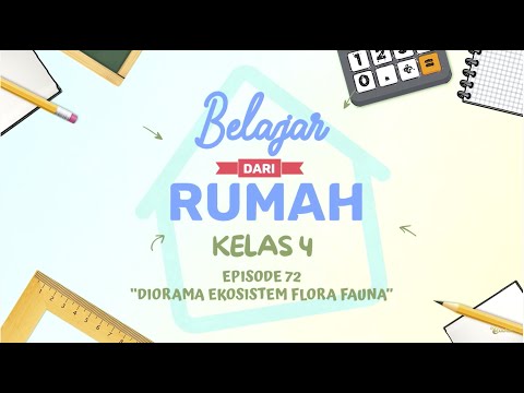 BDR | SD Kelas IV | Episode 72 - Diorama Ekosistem Flora Fauna