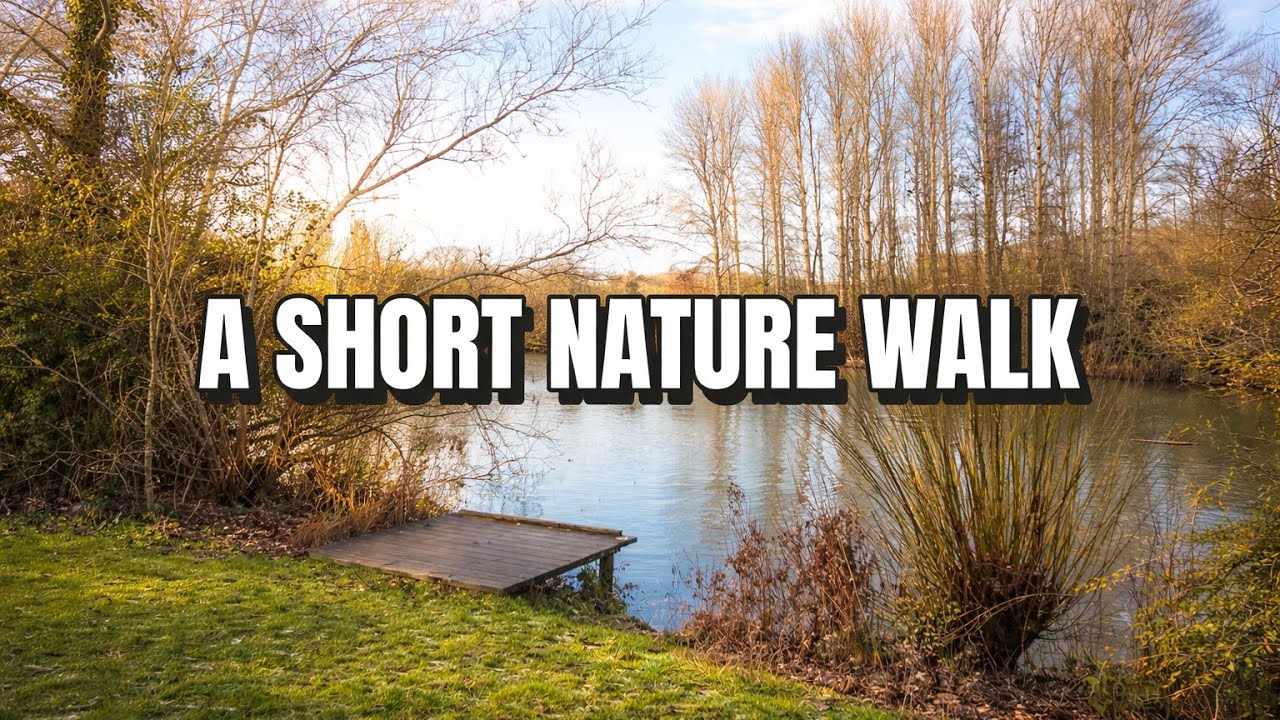 Short Nature Walk to the Lake | Relaxing Walk, Natural Sounds