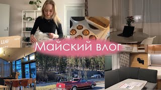 Май vlog: праздники, готовлю выпечку, обзор онлайн покупок