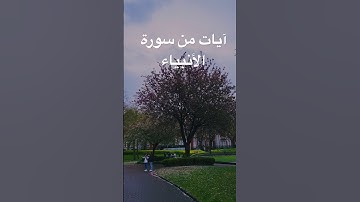 آيات من سورة الانبياء📖ربِّ إنّي قد مَسَّنِـيَ الضُّرُّ وَأَنتَ أَرْحَـمُ الرَّاحِمِيـنَ #المصحف
