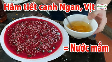 Cách hãm tiết canh ngan, vịt bằng nước mắm đông như thạch | Nam Việt TV