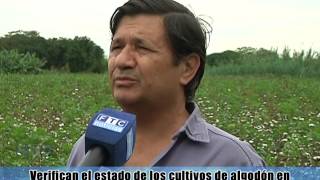 ASISTENCIA A PRODUCTORES ALGODONEROS DE MISION TACAAGLÉ