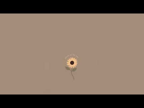 اغنية شفت هوا عقلي رأسن طار كاملة