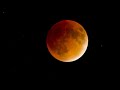 Here's What Makes Tonight's Super Blood Wolf Moon So Spectacular | Mach | NBC News