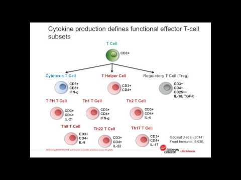 Video: CD45RA + CCR7 - CD8 T-cellen Zonder Co-stimulerende Receptoren Vertonen Verhoogde Frequentie In Perifeer Bloed Van NSCLC-patiënten Die Reageren Op Nivolumab