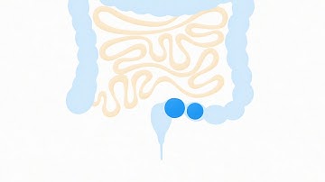 Navina Systems - What is TAI? Norsk