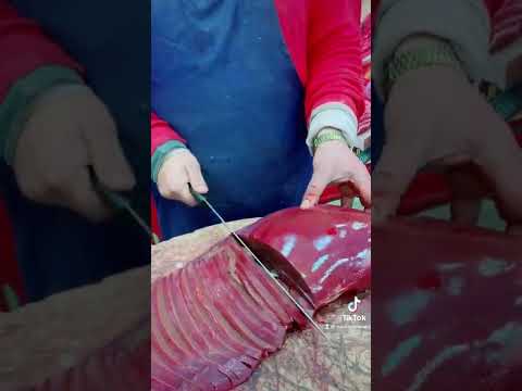 الكبده ماما