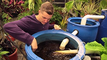 Getting to Know Principia: Aquaponics