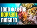 1000 ФАКТОВ, КОТОРЫЕ ПОРАЗЯТ ЛЮБОГО