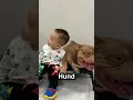 Sie veränderte das Leben der Hündin 😊 🐾