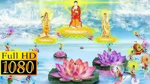 Câu chuyện có thật 100% Tây Phương Cực Lạc Là Cảnh Giới Vô Vi Niết Bàn rất hay