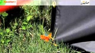 Vacationr-1.wmv